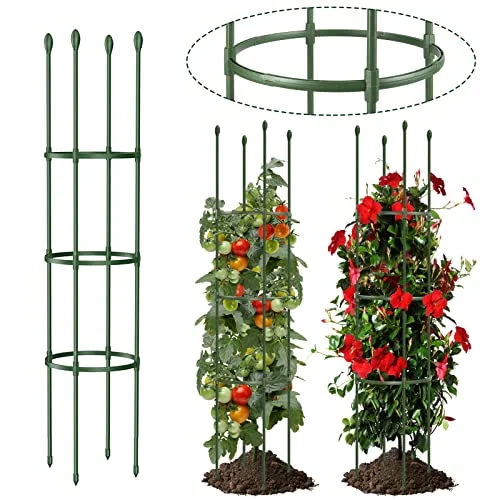 best tomato plant support system