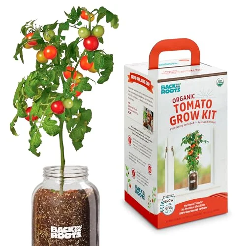 best tomato plant to grow in a pot