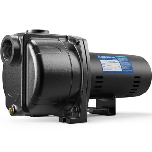 best 1.5 hp garden water pump