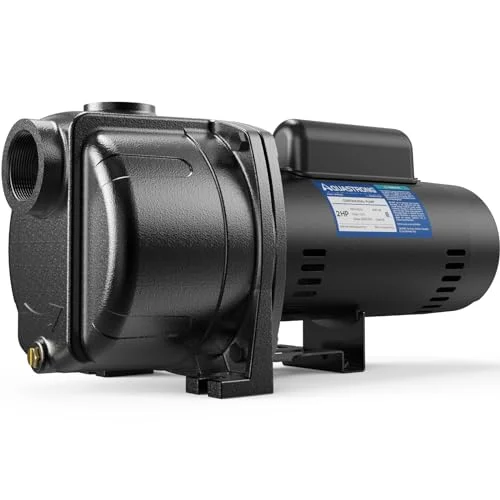 best 2 hp garden water pump